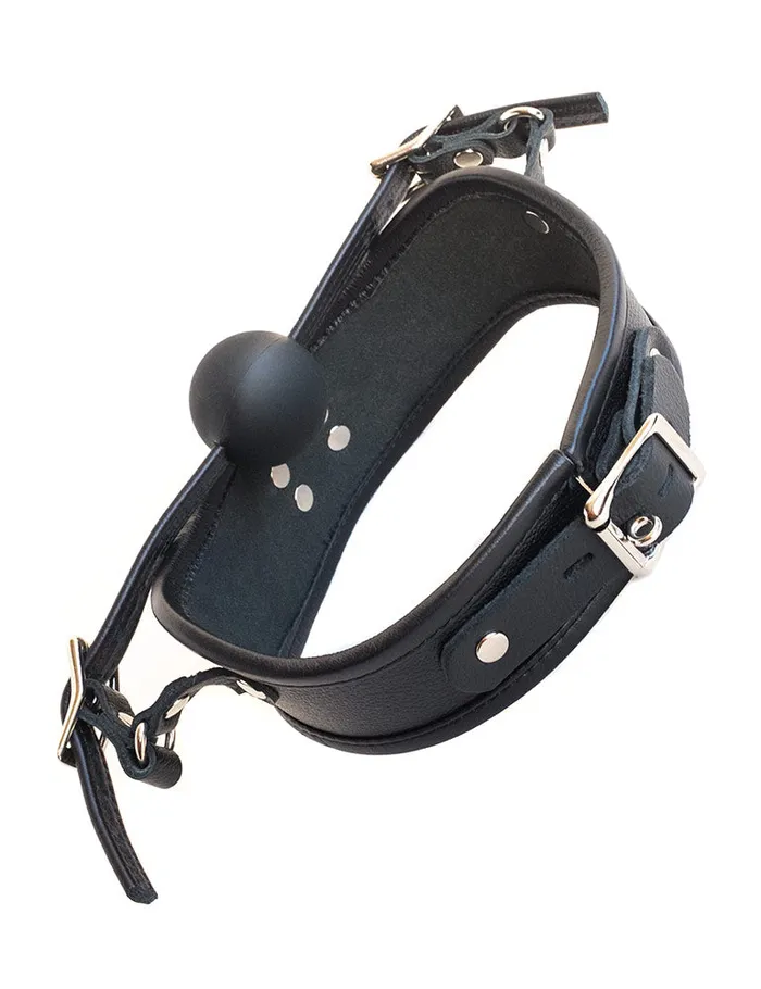 Male Sex Toys Stockroom Originals Posture Collar with Silicone Ball Gag